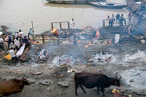 India&#8217;s Guardians of the Dead