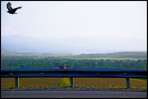 A New Slowdown at the Kazakh-Kyrgyz Border