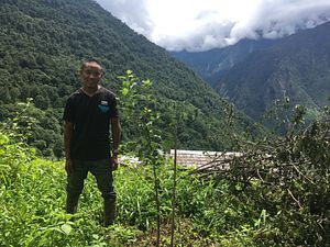 Almond Orchards in Everest’s Shadow