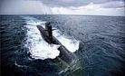 Indian Navy: Second Kalvari-Class Attack Sub to Be Delivered by End of 2018