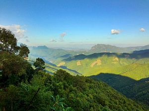 Can Laos Realize Its Coffee Dream?