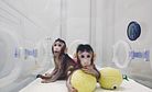 In Global First, China Clones 2 Monkeys Using 'Dolly' Method