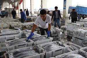 Xiangshan’s Struggling Fishing Industry