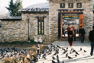 Record Turnout in Bhutan Elects Third National Council