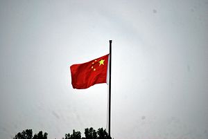 How China Sidelines NGOs