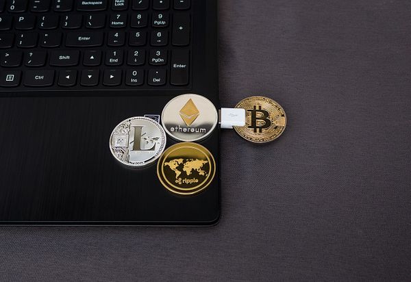 Pelno liūto urvas bitcoin