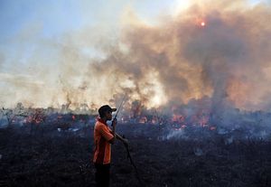 Southeast Asia Haze: Mass Arrest in Indonesia Amid Raging Forest Fires