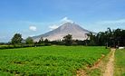 Living in the Shadow of Mount Sinabung