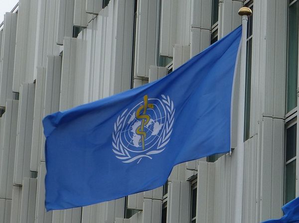thediplomat flag of world health organization at un city