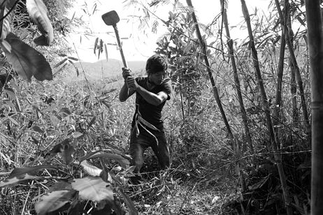 The Mlabri of Northern Thailand – The Diplomat