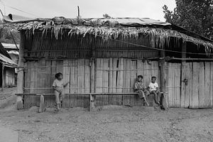 The Mlabri of Northern Thailand