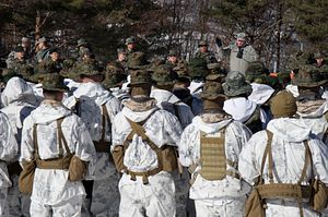 US, South Korea Indefinitely Suspend Marine Exchange Exercises
