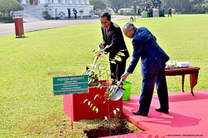 Malaysia-Indonesia Relations in the Spotlight with Bilateral Meeting