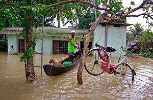 Mitigating Extreme Flooding in India: Mobilizing Political Will