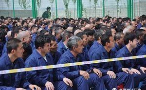 uyghurs thediplomat