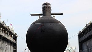 Russia Offers India Joint Development of New Diesel-Electric Attack Submarine