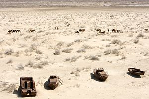 Human Security Central in New Effort to Save the Aral Sea