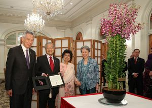 Air Force Chief Introductory Visit Highlights Malaysia-Singapore Defense Cooperation