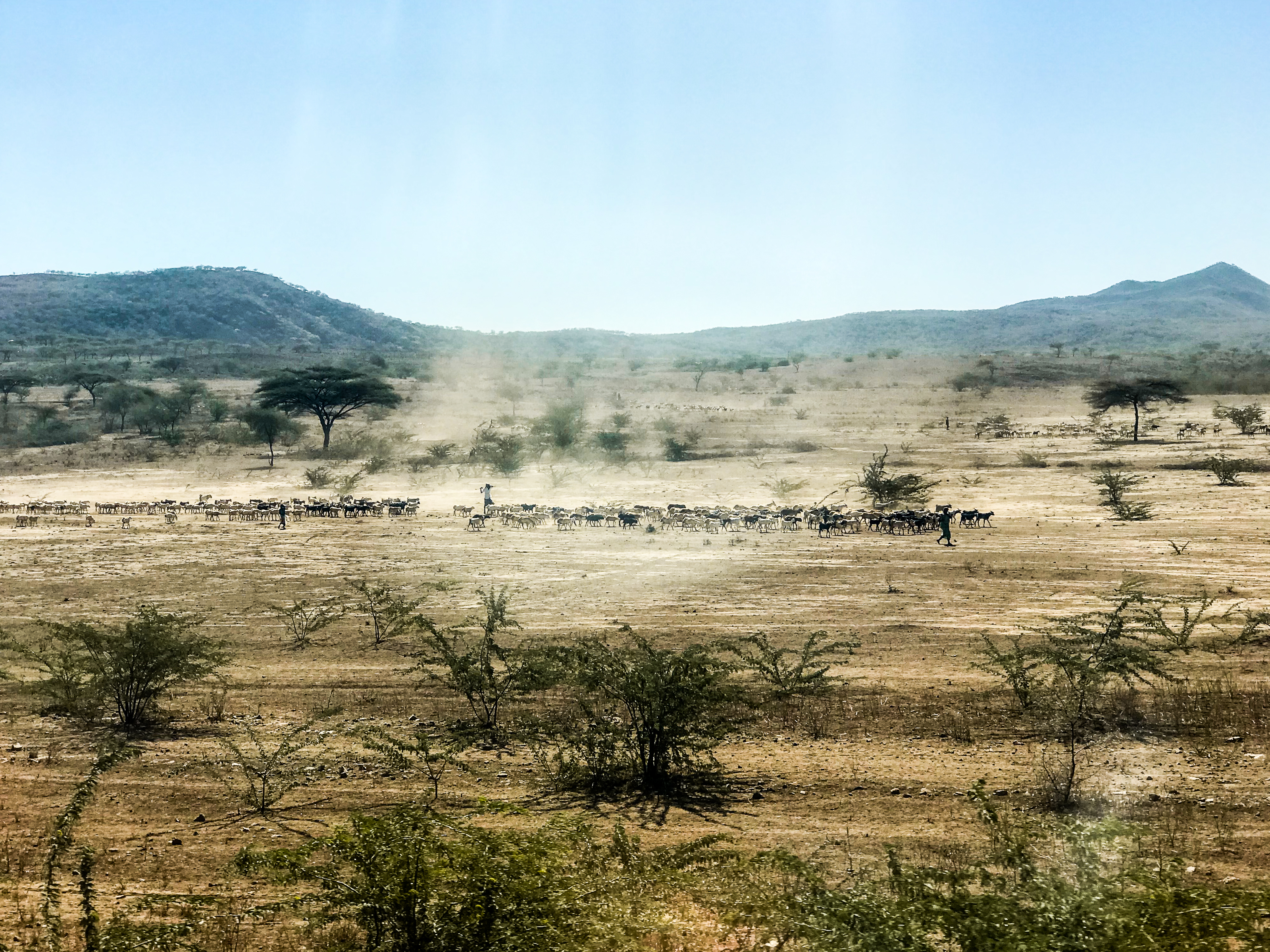 The Chinese Railways Remolding East Africa