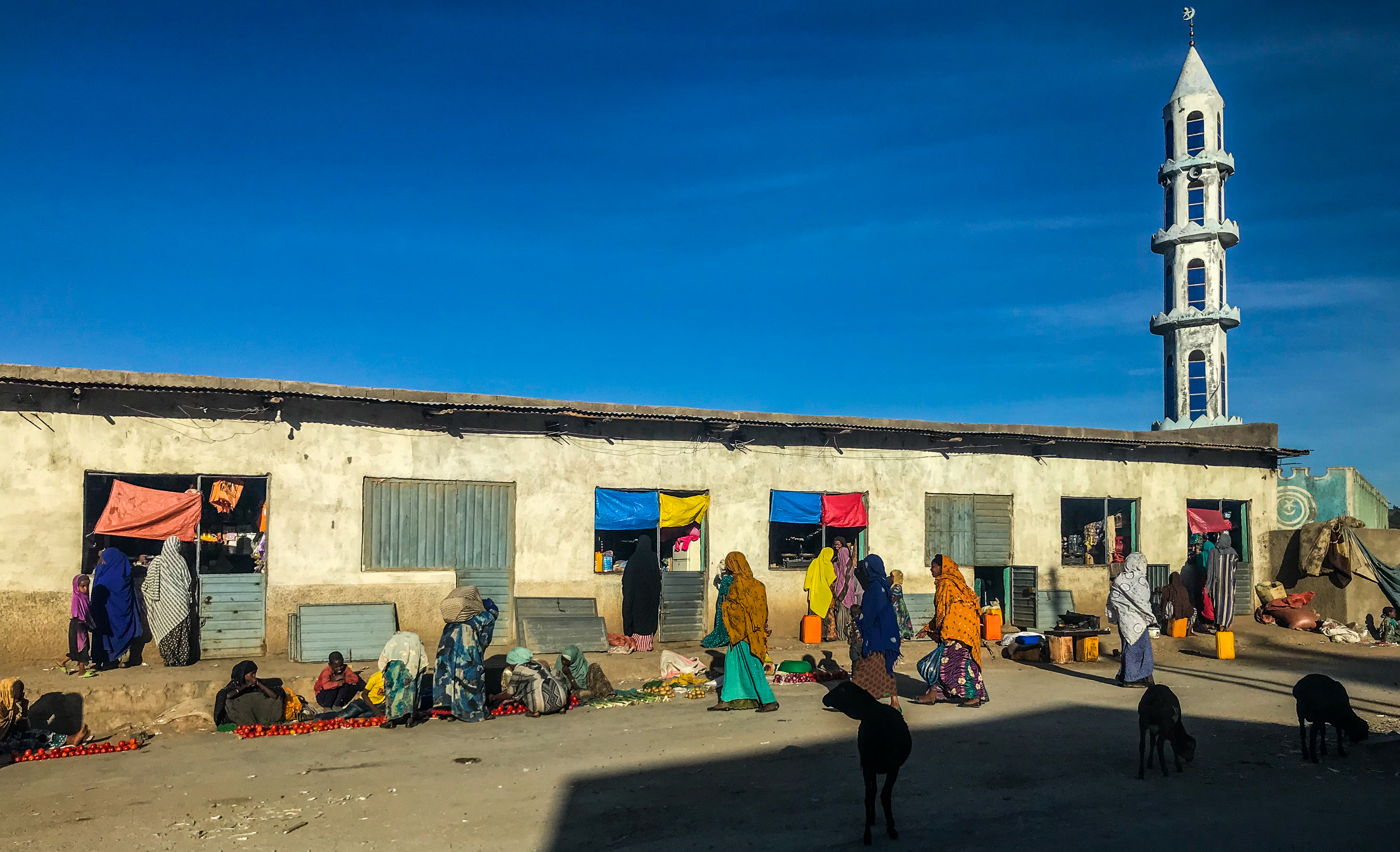 The Chinese Railways Remolding East Africa