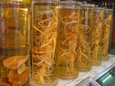 Image result for ginseng north korea