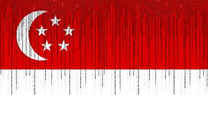 Evaluating Strategies to Address Online Radicalization in Singapore