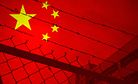 Cracks in the System: COVID-19 in Chinese Prisons