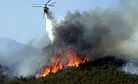 Responders Quickly Extinguish One of Korea’s Largest Wildfires