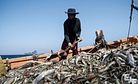 Labor Exploitation, Illegal Fishing Continue to Plague Asian Seas
