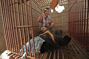 The Stalemate Driving Vietnam&#8217;s Illegal Wildlife Trade