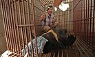 The Stalemate Driving Vietnam's Illegal Wildlife Trade