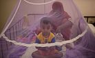 Bangladesh's Dengue Outbreak Reaches Epidemic Proportions