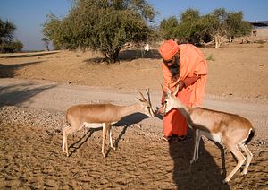 The Bishnoi: India&#8217;s First Environmentalists