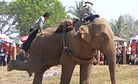 The Truth About Asia’s Elephant Tourism