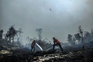 Indonesia’s Haze Crisis and the Problem with Palm Oil