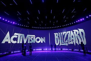 Blizzard and Mei: Makings of Online Protest