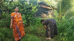 India’s Tribal People Fight to Save the Forests They Call Home