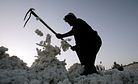 Cotton and Corporate Responsibility: Fighting Forced Labor in Xinjiang and Uzbekistan