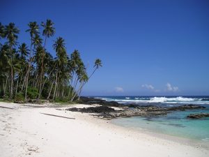 Measles Outbreak Brings Samoan Government to Standstill