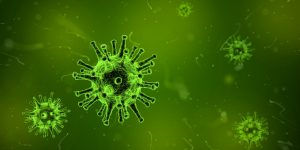 The Wuhan Coronavirus Outbreak Hits Korea