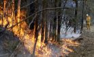 Misinformation Amid Australia Bushfire Crisis