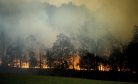 What We Can All Learn From Australia’s Bushfires