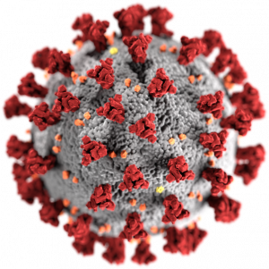 India Sees New Lockdowns as Coronavirus Cases Rise Again