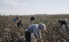 Beyond the Pledge: Is It Time to Lift the Boycott of Uzbek Cotton?