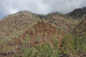 Edd Wright on Climate Resilience on Timor-Leste