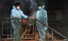 India’s Capital Crematoriums Overwhelmed With Virus Dead