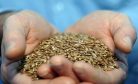Australia Suspends WTO Case Against China on Barley Tariffs