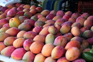 US Diplomacy in Pakistan: The Case of the Missing Mangoes