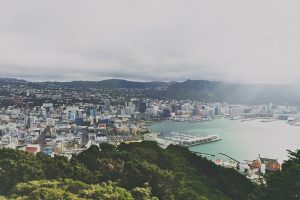 Despite Pandemic Slump, Foreign Buyers Maintain Share in New Zealand Housing Market