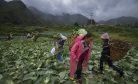 China, Food Security and Geopolitics